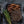 Load image into Gallery viewer, BRISKET -Frozen