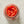 Load image into Gallery viewer, Imported Crushed Italian Tomatoes - Glass 24oz