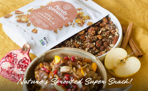 Apple Cinnamon Sprouted Snack Mix 4 oz bag