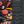 Load image into Gallery viewer, 1/4 BEEF SHARE