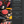 Load image into Gallery viewer, 1/16 BEEF SHARE