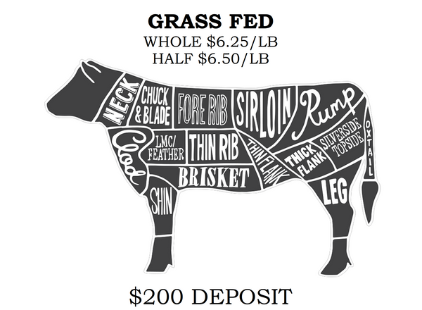 100% GRASS FED Half/Whole Beef *Deposit Only*