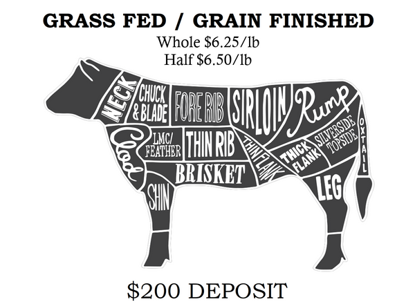 GRAIN FINISHED Half/Whole Beef *Deposit Only*